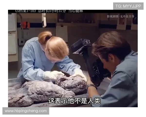 围绕美剧X档案在豆瓣的悬疑文化热度与经典线索再发现