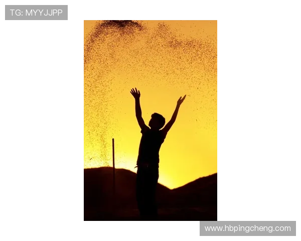 当破碎的心在泰国雨季里慢慢愈合的爱情旅程与勇敢重生之歌